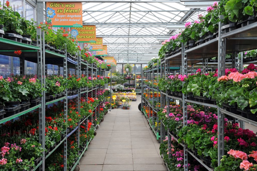 Top 15 budapesti kertészet 2025 június: részletes értékelés és összehasonlítás