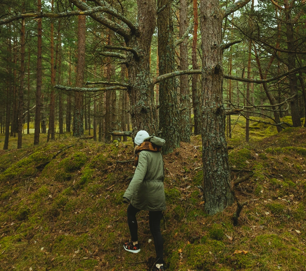 Hogyan szabályozd hatékonyan a gyorsan növő örökzöldek méretét lépésről lépésre