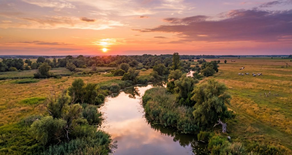Körös Maros Nemzeti Park (KMNP) flórája: 3 ritka faj, ami a kertek 5%-ában is megjelenhet