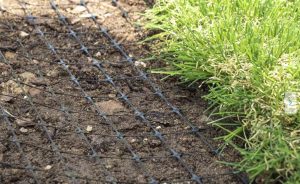 Vakodn háló telepítése a kertbe a fű alá